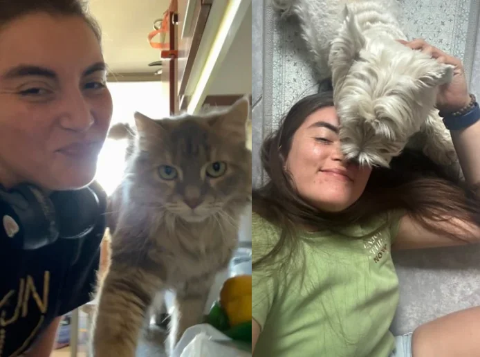 Cuidado de mascotas, perros y gatos